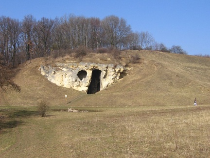 IMG 0820