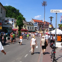 WIELRENNEN