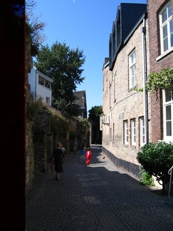 IMG 5552