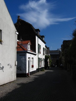 IMG 5553