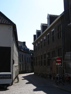 IMG 5575