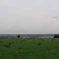 IMG 6231