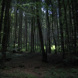 BERDORF