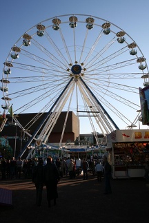 IMG 0773