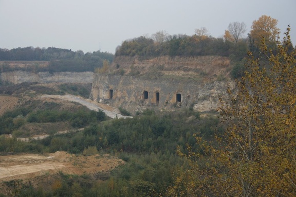 IMG 0922