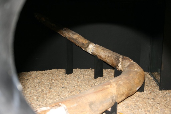 IMG 2537