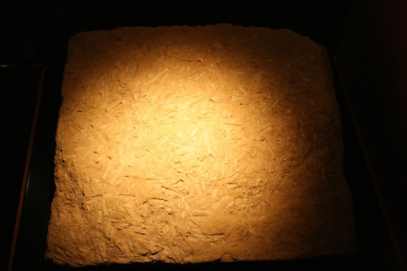 IMG 2541