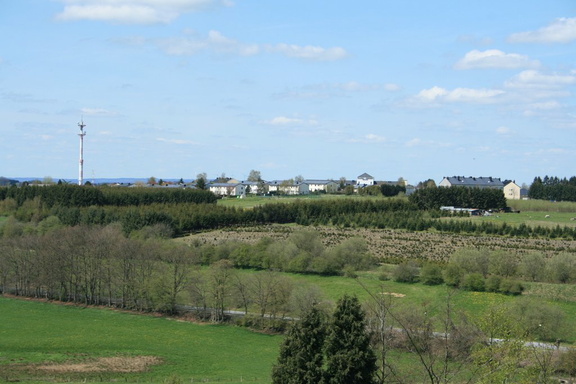 IMG 4705