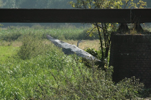 IMG 8673