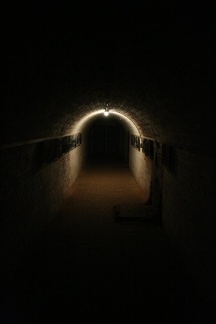 IMG 8939