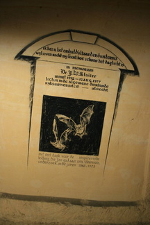 IMG 9079
