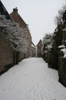 IMG 0223