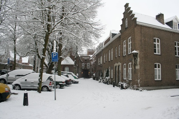 IMG 0229