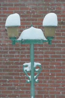 IMG 0166