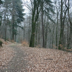 CONSDORF
