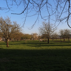 EIJSDER BEEMDEN